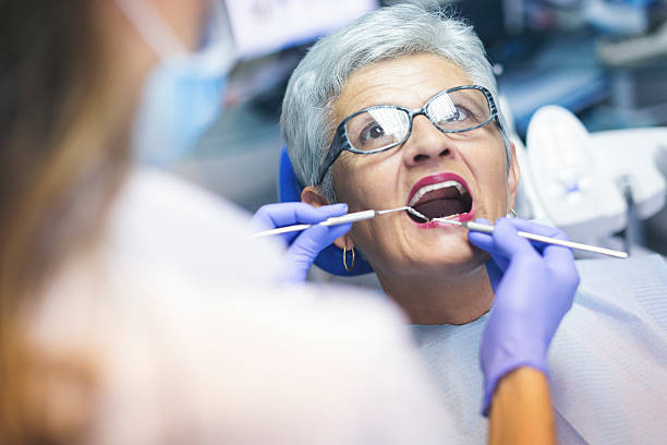 Professional Holistic Dental Care Services in Chestnut Ridge, NY